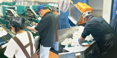 レンタルおしぼりの製造